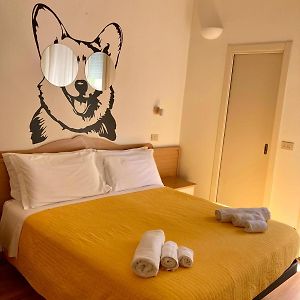 Pet Hotel Virginia - Hotel Per Cani